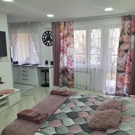 Premium Apartment Tarnow